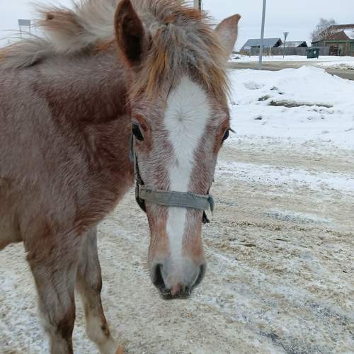 Photo #11540068