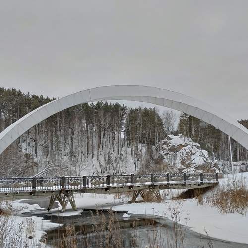 Photo #11540132