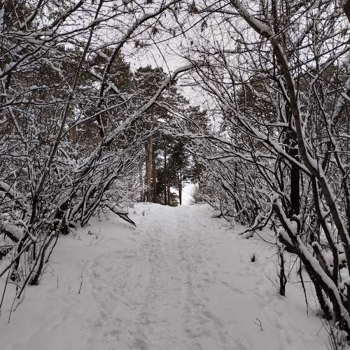 Photo #11540133