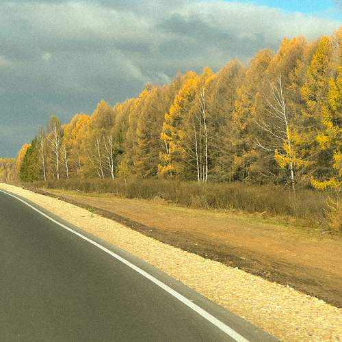 Photo #11540468