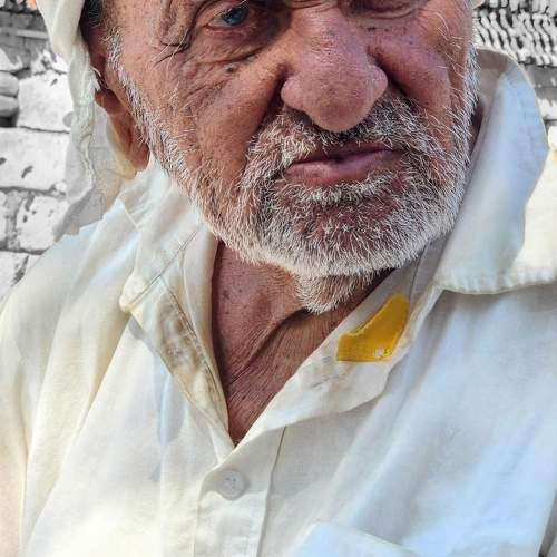 Photo #11540688