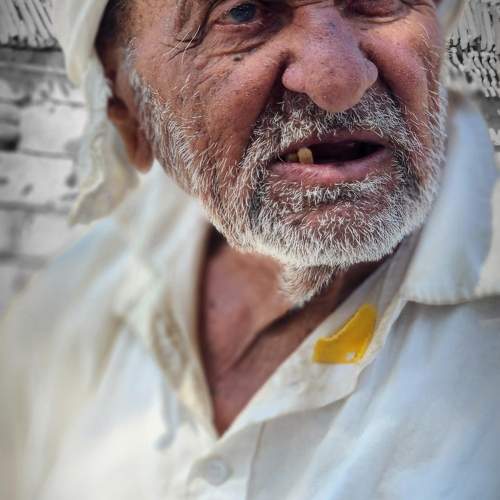 Photo #11540691