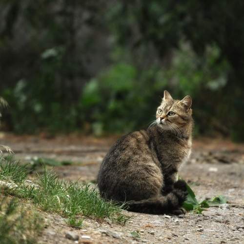 Photo #11540841