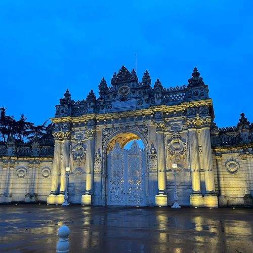 Photo #11540994