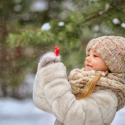Photo #11541596