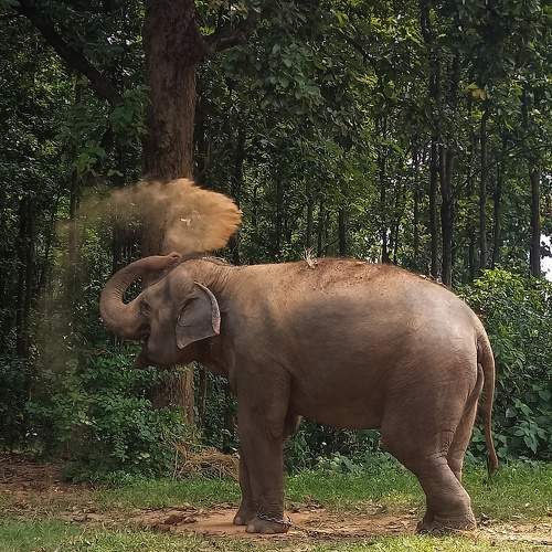 Photo #11542248