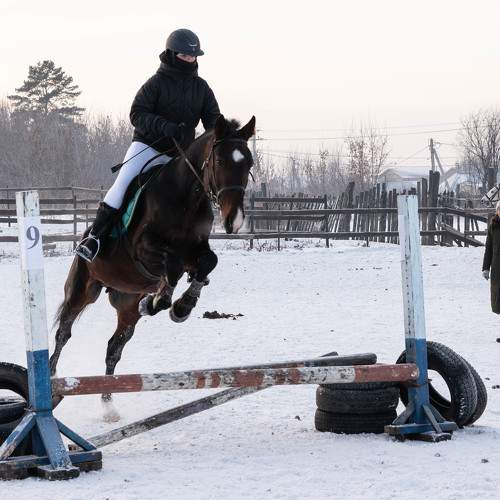 Photo #11542255