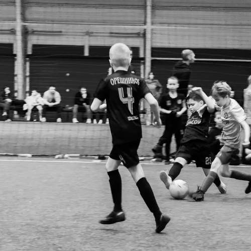 Photo #11542807