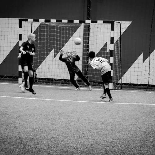 Photo #11542851