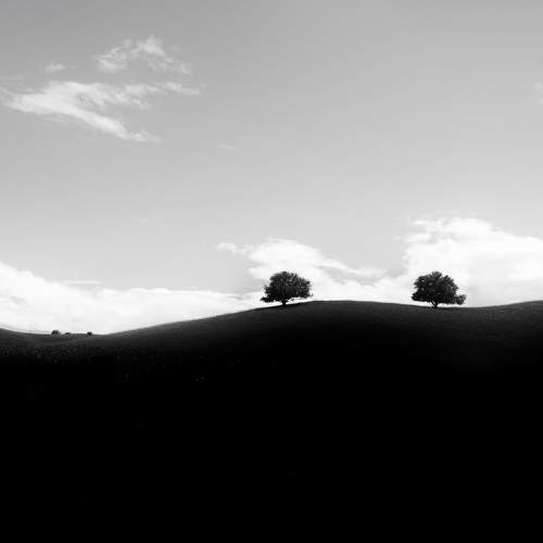 Photo #11543495