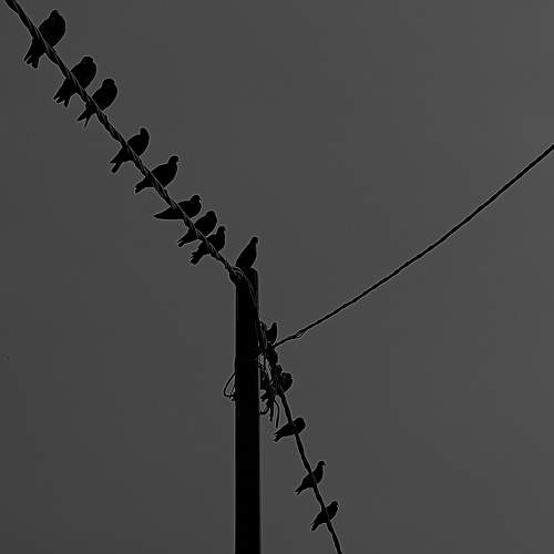 Photo #11543528