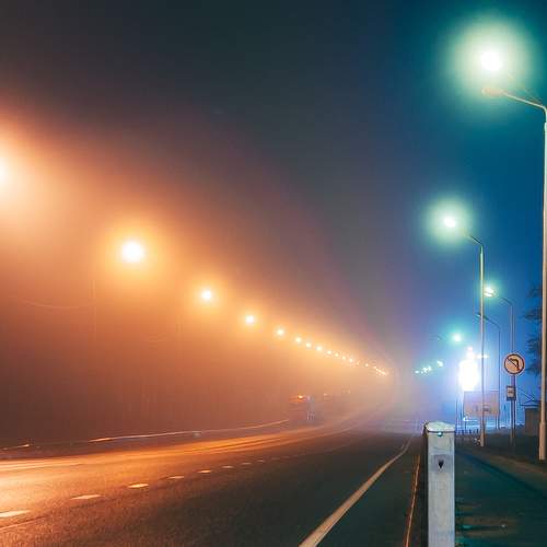 Photo #11543868