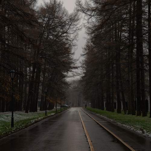 Photo #11544424