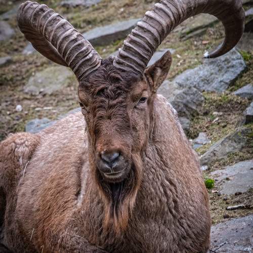 Photo #11545462