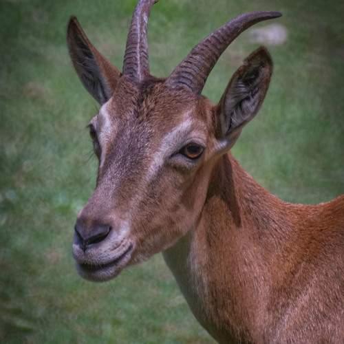 Photo #11545465
