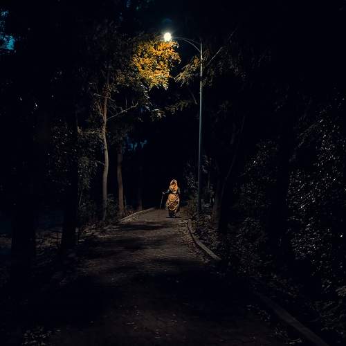 Photo #11546142