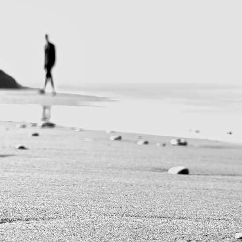 Photo #11546232