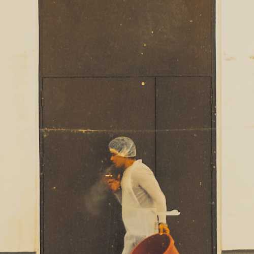 Photo #11546506