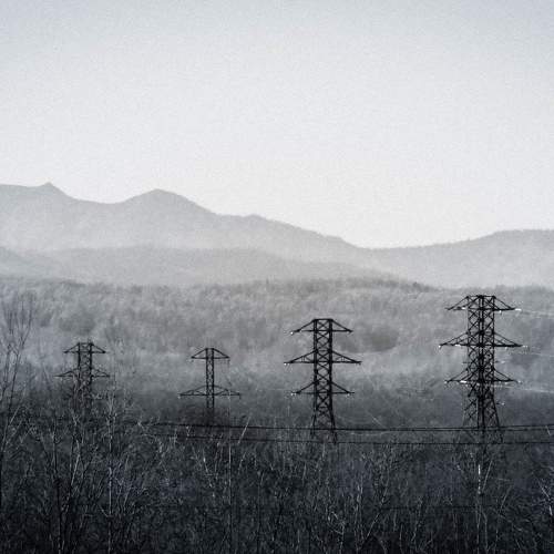 Photo #11546713