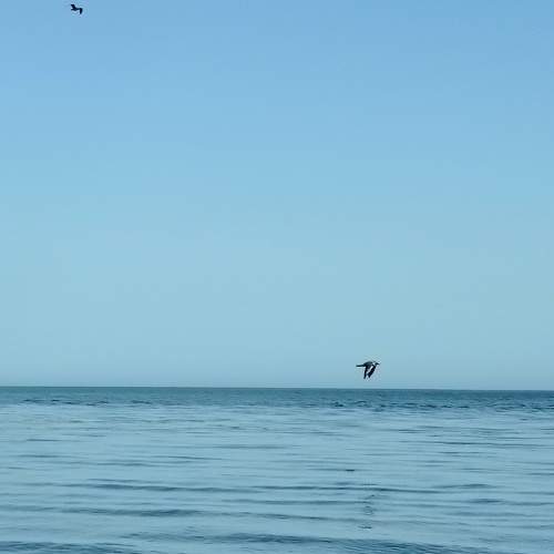 Photo #11546907