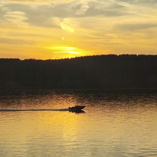 Photo #11546936