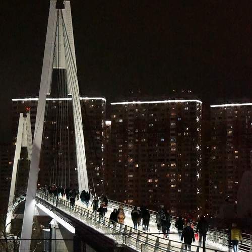 Photo #11547203