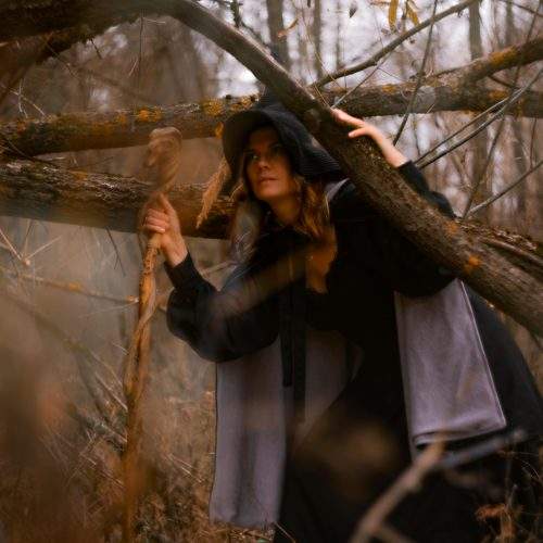 Photo #11547289