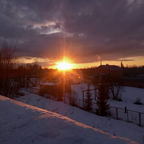 Photo #11547359