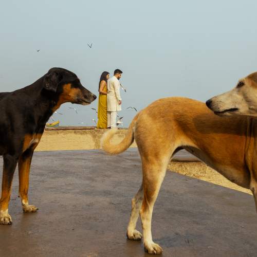 Photo #11547625
