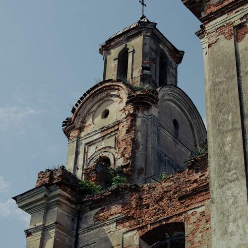 Photo #11547646