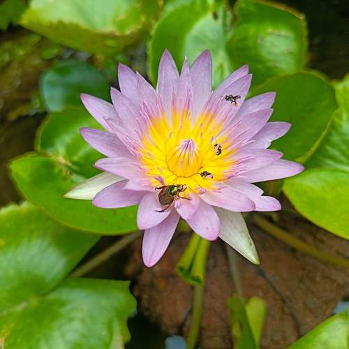 Photo #11548026