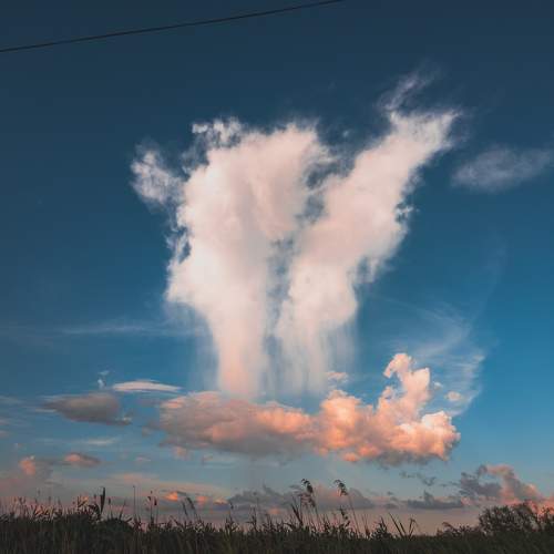 Photo #11548177