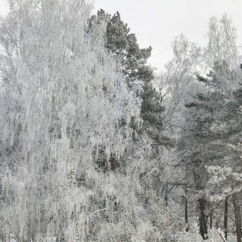Photo #11548373