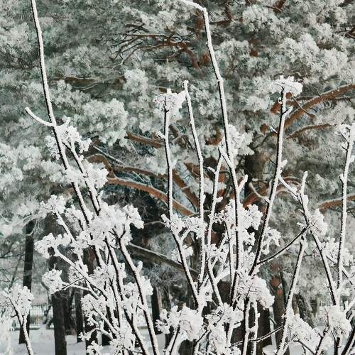 Photo #11548386