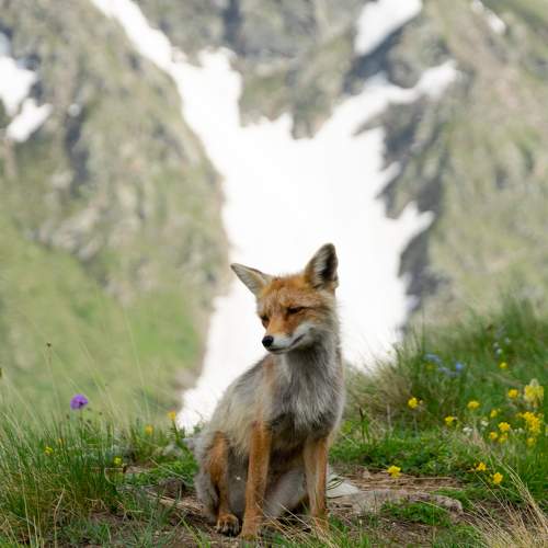 Photo #11548634