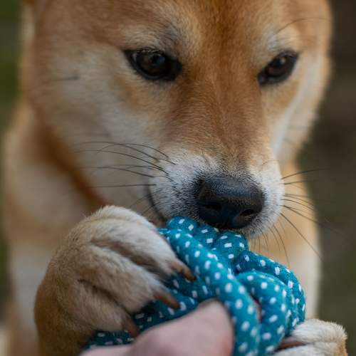 Photo #11548647