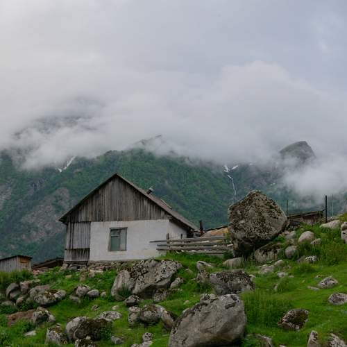 Photo #11548658