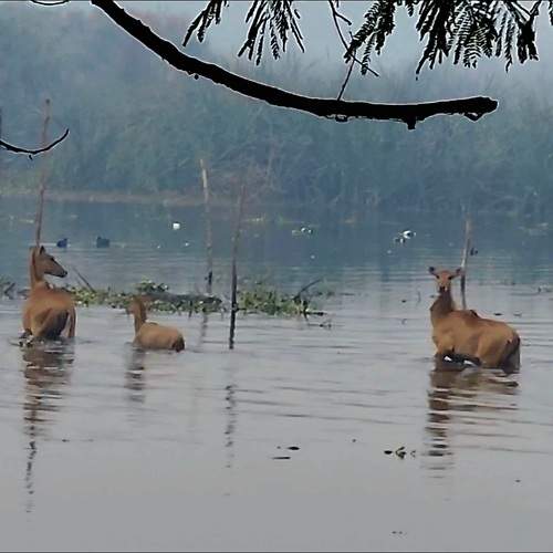 Photo #11548909