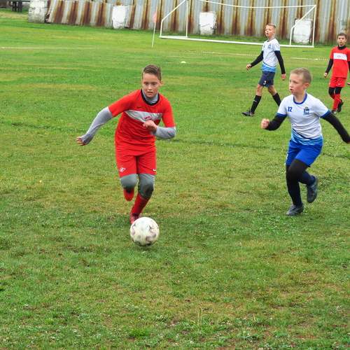 Photo #11548930