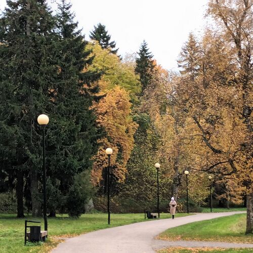 Photo #11549072