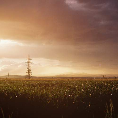Photo #11549266