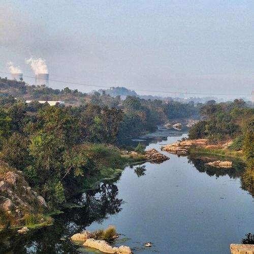 Photo #11549793
