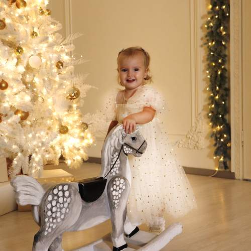 Photo #11549916