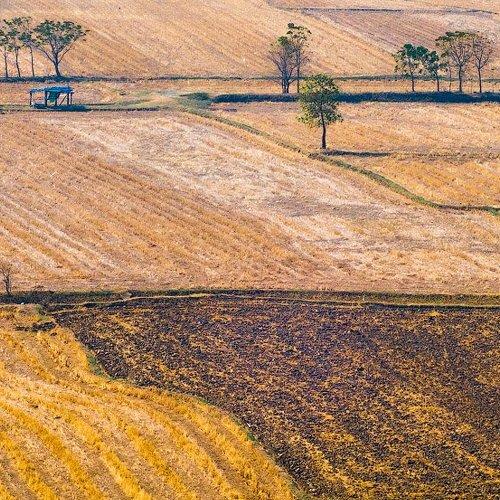Fields and the sun.