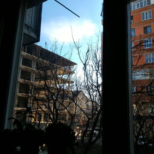 Photo #1155568
