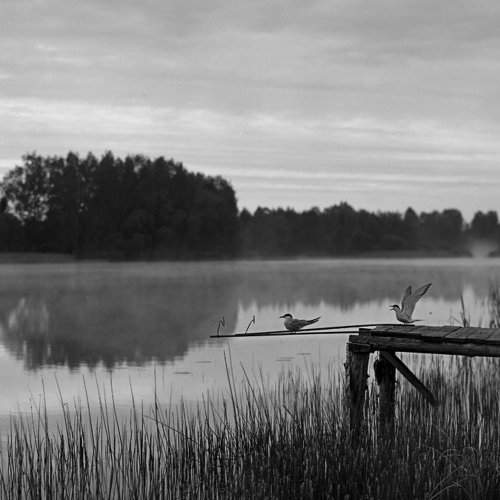 Утро на Серчистой