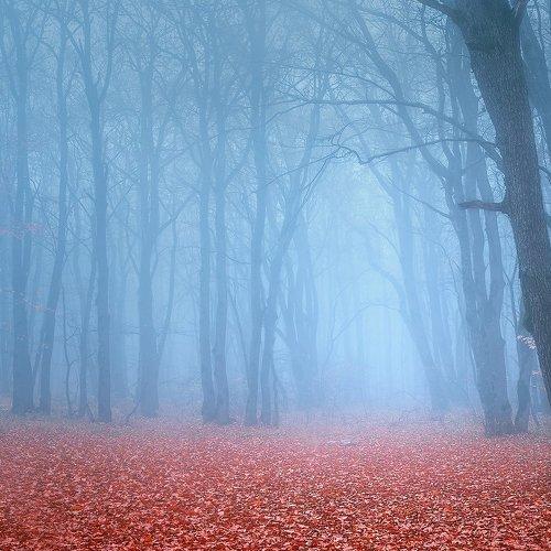 Музыка осенней тишины