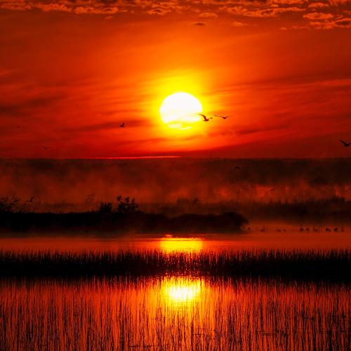 Sleeping Sun