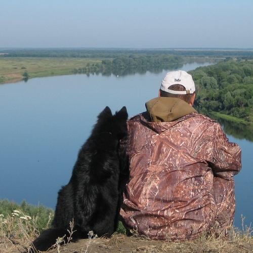 Photo #1158187