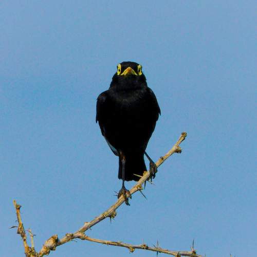 Photo #11550639